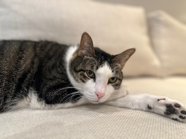 Miyagi today, calmer but still slightly wary